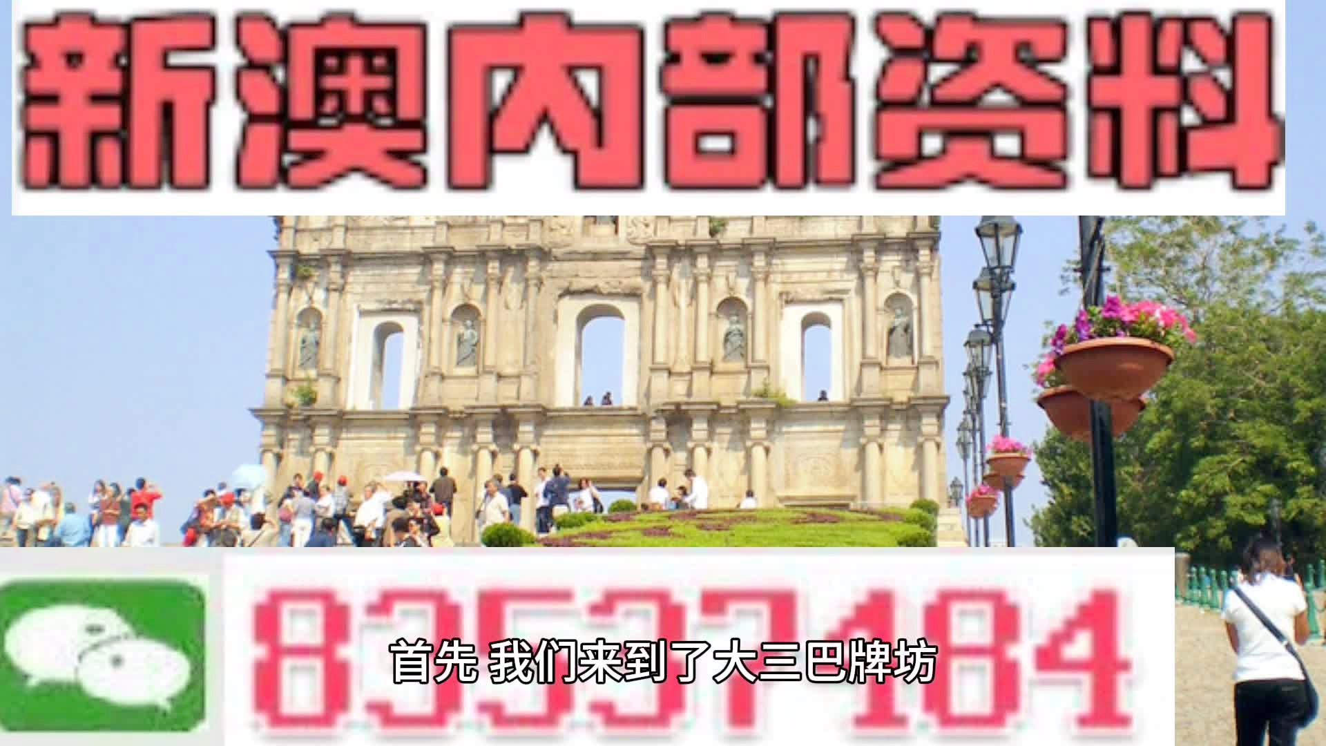 澳门天天免费精准与新澳门精准免费大全,精选解析、解释与落实